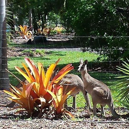 Bluegrass Bnb Bed & Breakfast Bundaberg Dış mekan fotoğraf